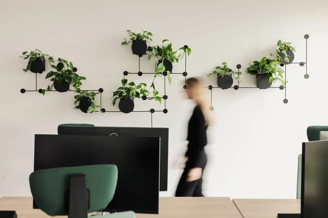 Jakie kwiaty do kwietnika? Poznaj najlepsze rośliny na każdą porę roku