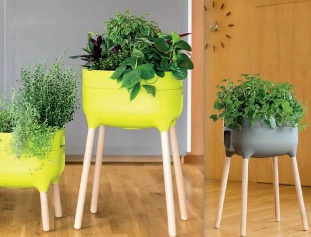 Jaki kwietnik do salonu wybierać, by ożywić wnętrze i zaoszczędzić miejsce?
