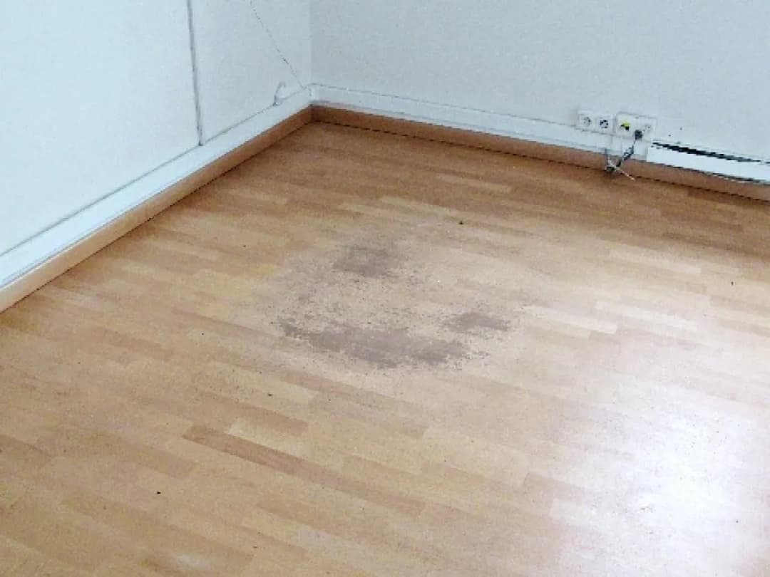 Jak usunąć plamy z paneli podłogowych - skuteczne metody i porady