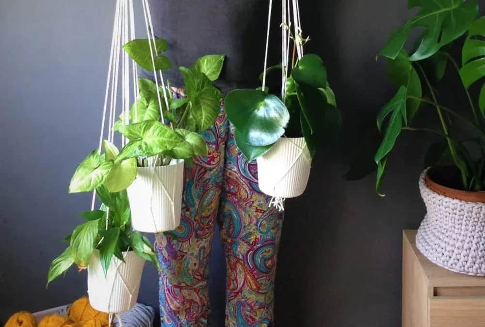 Jak zrobić wiszący kwietnik: proste instrukcje DIY krok po kroku