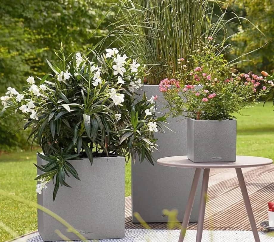 Jakie kwiaty do wysokiej donicy na taras? Stwórz piękne aranżacje!