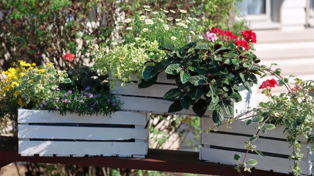 Z czego zrobić kwietnik do ogrodu? Najlepsze materiały i pomysły