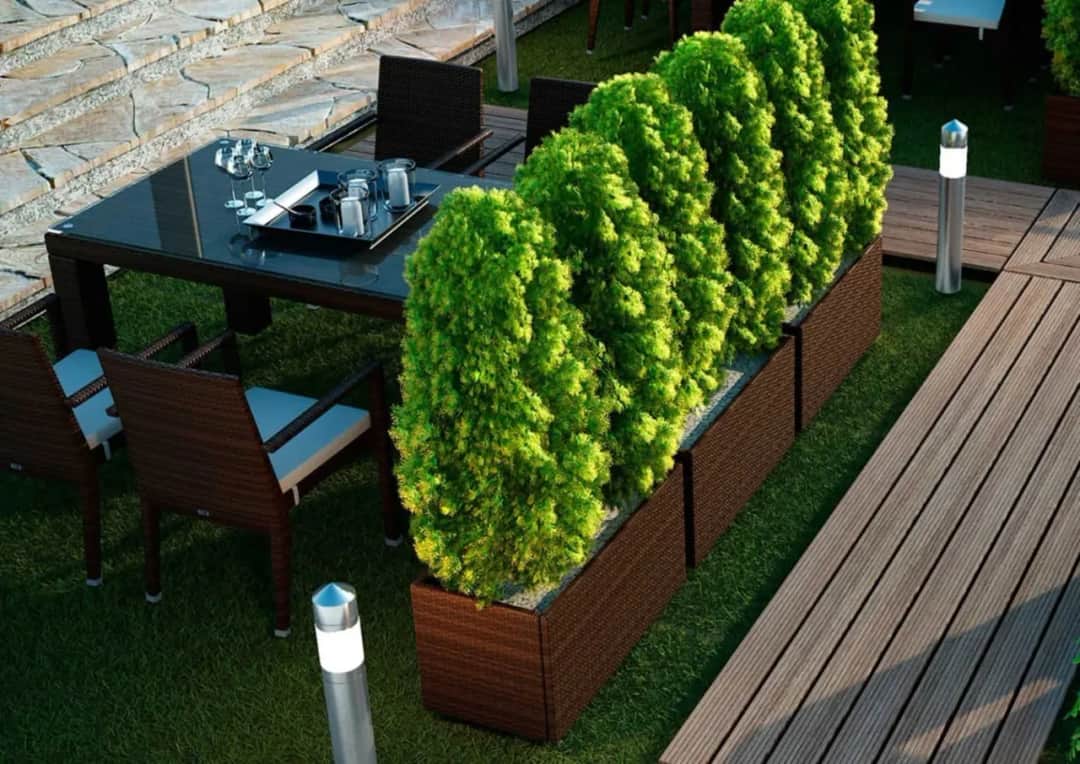 Jak osłonić taras od drogi i zyskać wymarzoną prywatność?